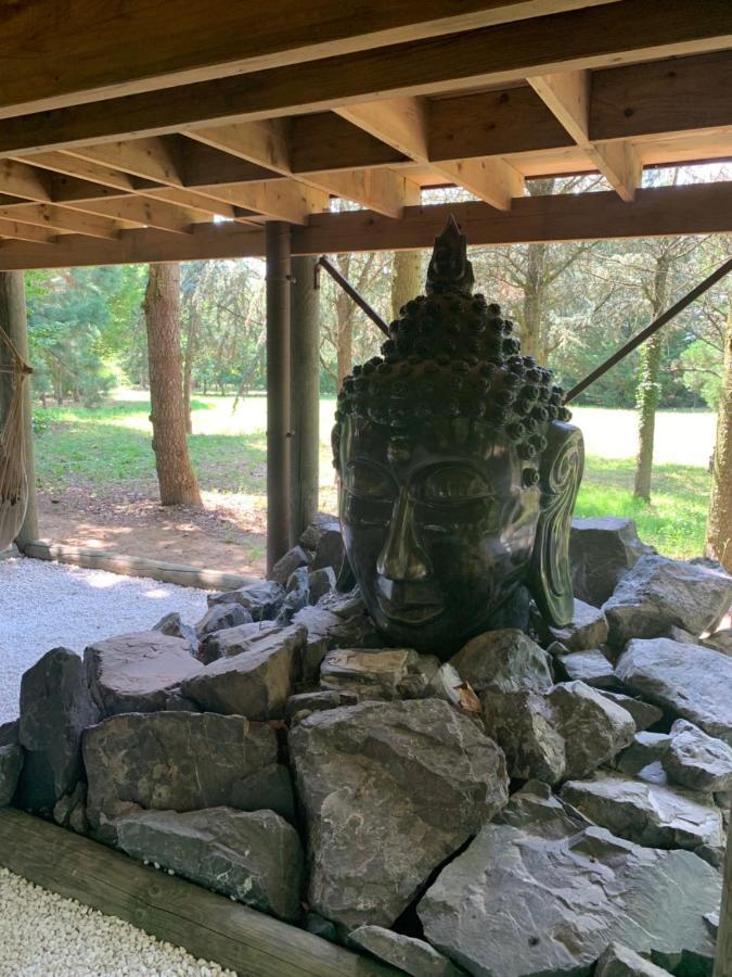 Gite Pont-A-Mousson, La Pepiniere Pagode Asiatique Екстериор снимка